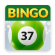 bingo 37