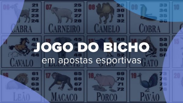 jogo do bicho em apostas