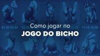 Como ganhar no jogo do bicho