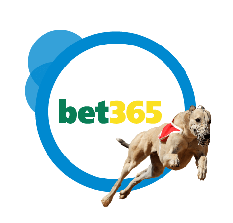 bet365 corridas de cavalos