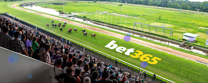 Como Apostar Em Corrida De Cavalos Na Bet365