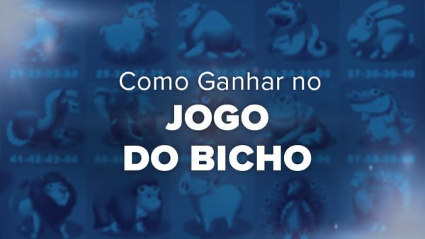 Como ganhar no jogo do bicho